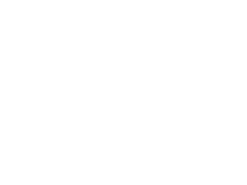 padfin logo